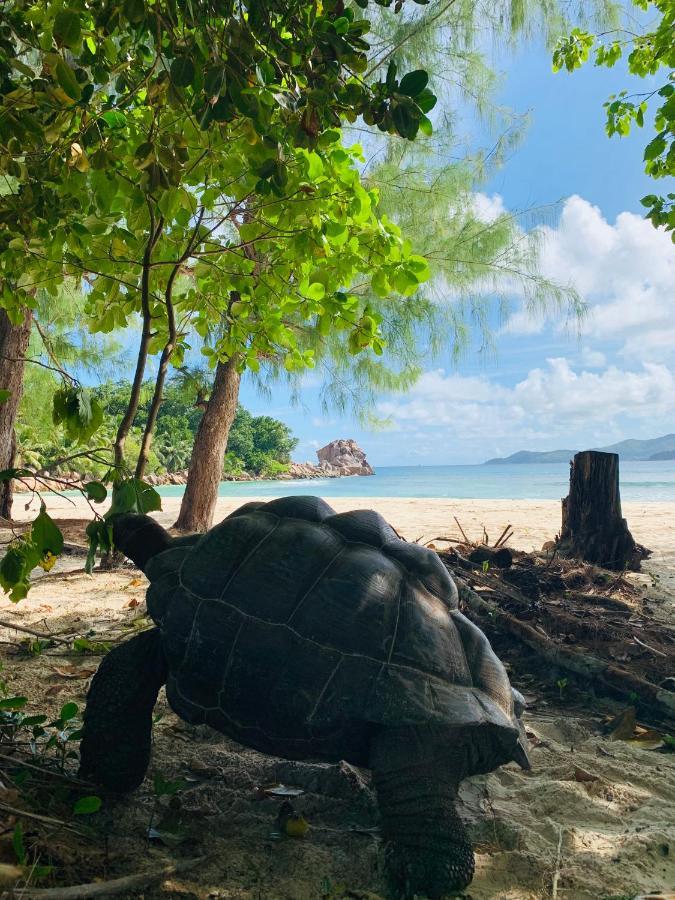 O'Soleil Chalets Self Catering La Digue Buitenkant foto