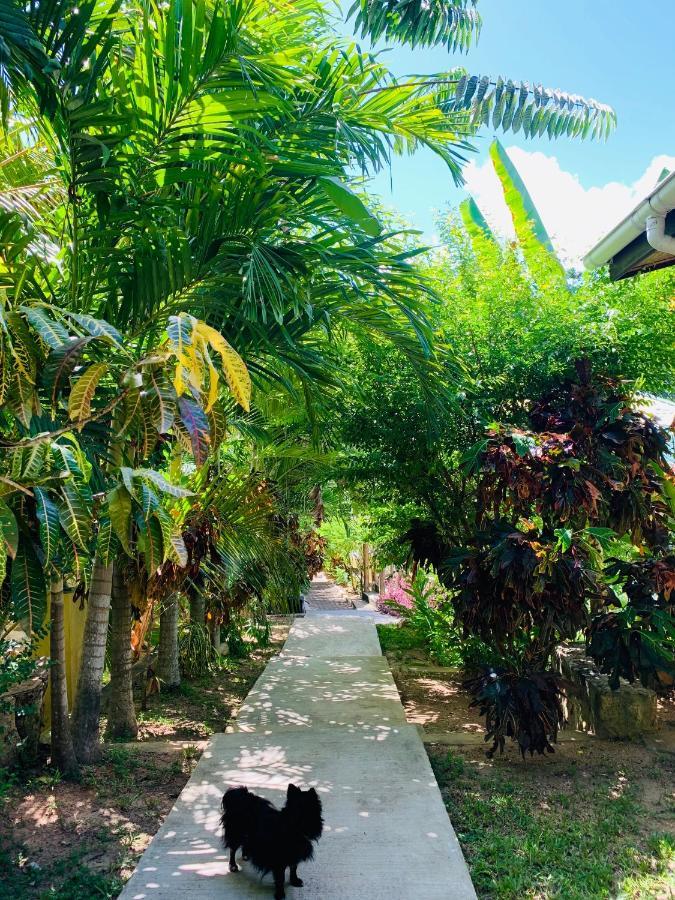 O'Soleil Chalets Self Catering La Digue Buitenkant foto